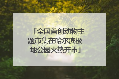 全国首创动物主题市集在哈尔滨极地公园火热开市