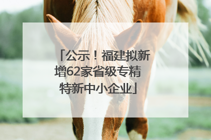 公示！福建拟新增62家省级专精特新中小企业