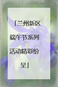兰州新区端午节系列活动精彩纷呈