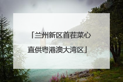 兰州新区首茬菜心直供粤港澳大湾区
