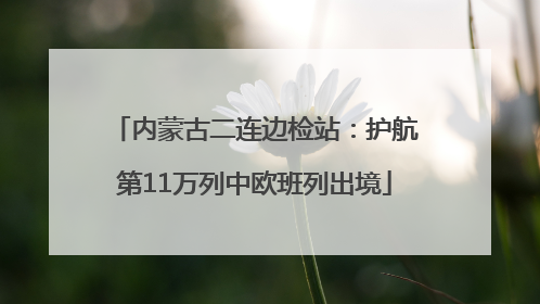 内蒙古二连边检站：护航第11万列中欧班列出境
