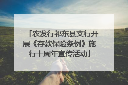 农发行祁东县支行开展《存款保险条例》施行十周年宣传活动