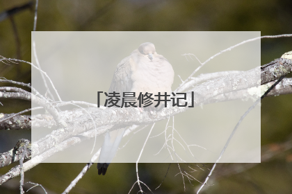 凌晨修井记
