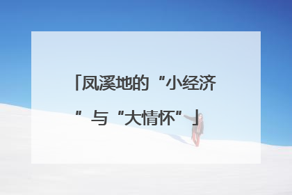 凤溪地的“小经济”与“大情怀”