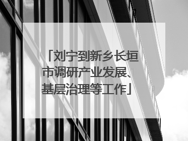 刘宁到新乡长垣市调研产业发展、基层治理等工作