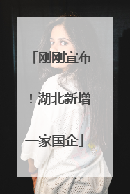 刚刚宣布！湖北新增一家国企