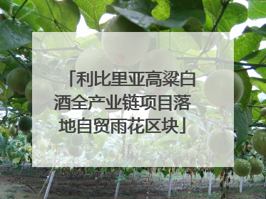 利比里亚高粱白酒全产业链项目落地自贸雨花区块