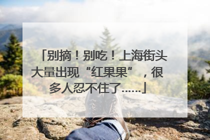 别摘！别吃！上海街头大量出现“红果果”，很多人忍不住了……