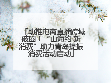 助推电商直播跨域破圈！“山海约·新消费”助力青岛提振消费活动启动