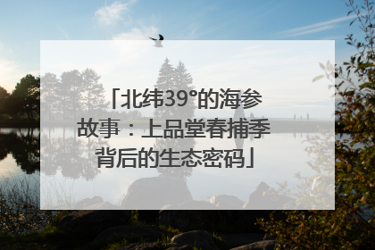 北纬39°的海参故事：上品堂春捕季背后的生态密码