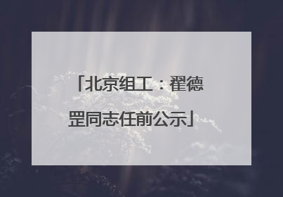 北京组工：翟德罡同志任前公示