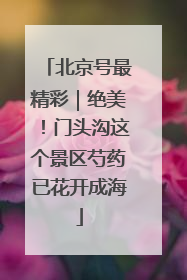 北京号最精彩｜绝美！门头沟这个景区芍药已花开成海