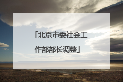 北京市委社会工作部部长调整