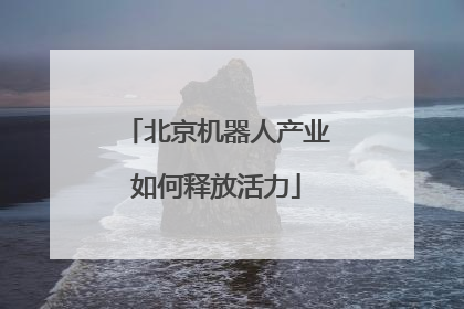 北京机器人产业如何释放活力