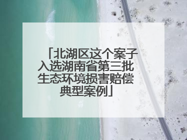 北湖区这个案子入选湖南省第三批生态环境损害赔偿典型案例