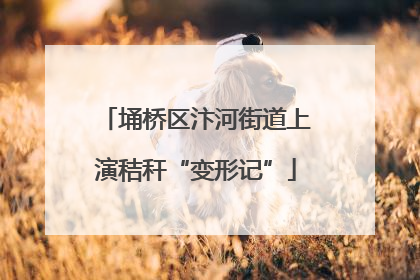 埇桥区汴河街道上演秸秆“变形记”