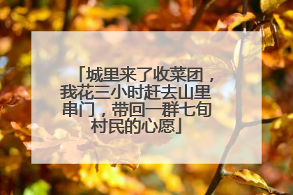 城里来了收菜团，我花三小时赶去山里串门，带回一群七旬村民的心愿