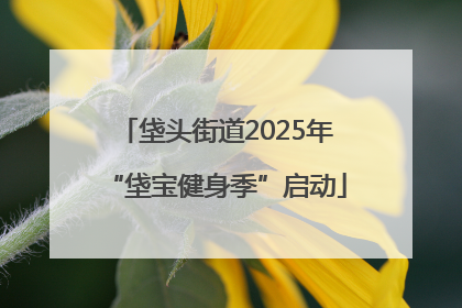 垡头街道2025年“垡宝健身季”启动