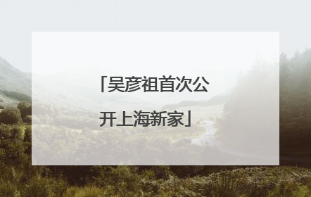 吴彦祖首次公开上海新家