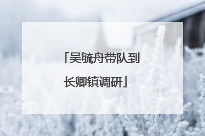 吴毓舟带队到长卿镇调研