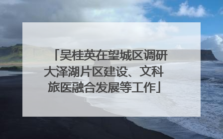 吴桂英在望城区调研大泽湖片区建设、文科旅医融合发展等工作