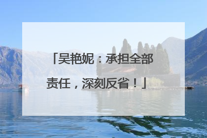 吴艳妮：承担全部责任，深刻反省！