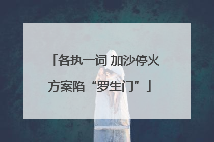 各执一词 加沙停火方案陷“罗生门”