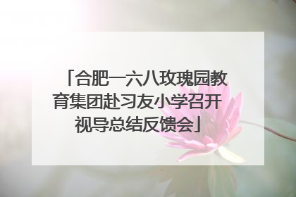 合肥一六八玫瑰园教育集团赴习友小学召开视导总结反馈会
