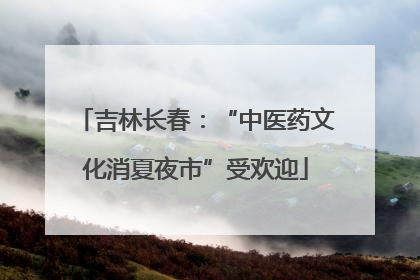 吉林长春：“中医药文化消夏夜市”受欢迎