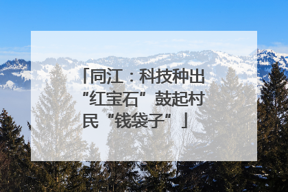 同江：科技种出“红宝石”鼓起村民“钱袋子”