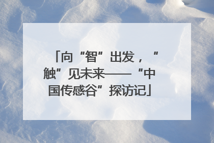 向“智”出发，“触”见未来——“中国传感谷”探访记