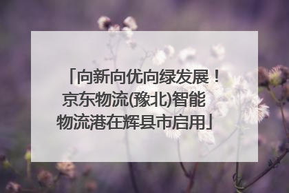 向新向优向绿发展！京东物流(豫北)智能物流港在辉县市启用