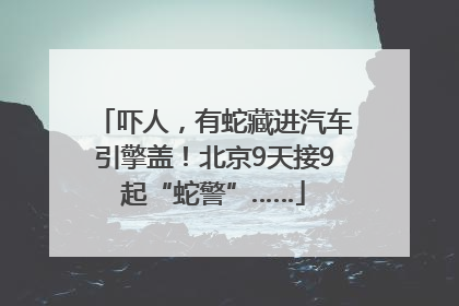 吓人，有蛇藏进汽车引擎盖！北京9天接9起“蛇警”……