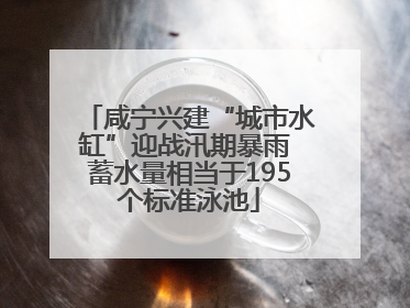 咸宁兴建“城市水缸”迎战汛期暴雨 蓄水量相当于195个标准泳池