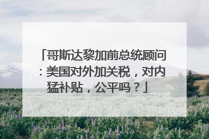 哥斯达黎加前总统顾问：美国对外加关税，对内猛补贴，公平吗？