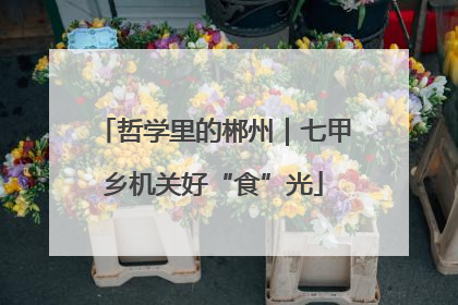 哲学里的郴州｜七甲乡机关好“食”光