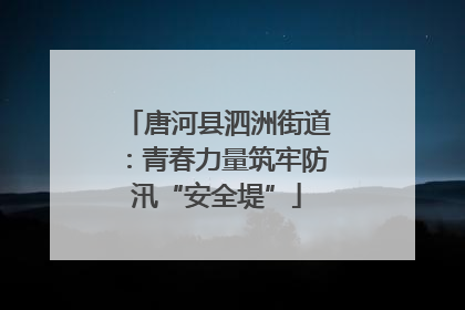 唐河县泗洲街道：青春力量筑牢防汛“安全堤”