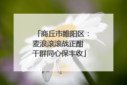 商丘市睢阳区：麦浪滚滚战正酣 干群同心保丰收