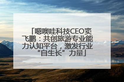 嗯噢哇科技CEO窦飞鹏：共创旅游专业能力认知平台，激发行业“自生长”力量