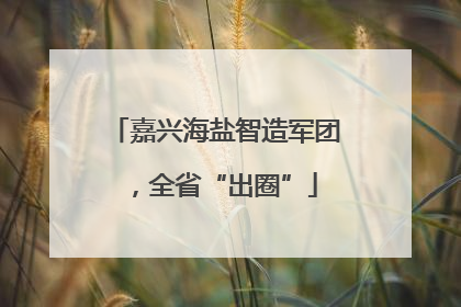 嘉兴海盐智造军团，全省“出圈”