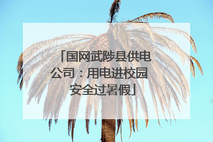 国网武陟县供电公司：用电进校园  安全过暑假