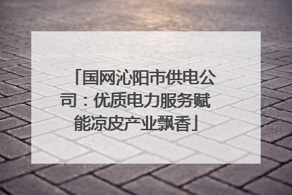 国网沁阳市供电公司：优质电力服务赋能凉皮产业飘香