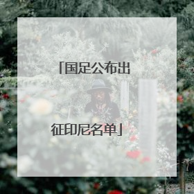 国足公布出征印尼名单