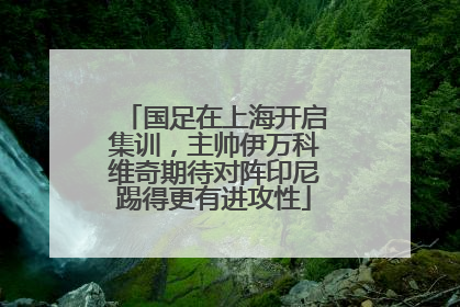 国足在上海开启集训，主帅伊万科维奇期待对阵印尼踢得更有进攻性