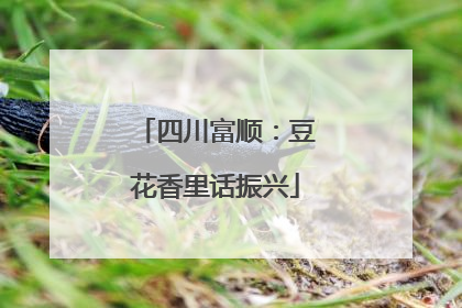 四川富顺：豆花香里话振兴