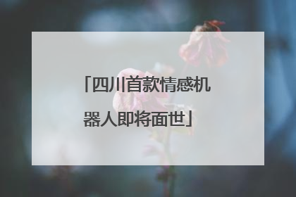 四川首款情感机器人即将面世