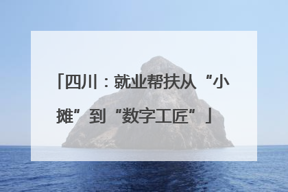 四川：就业帮扶从“小摊”到“数字工匠”
