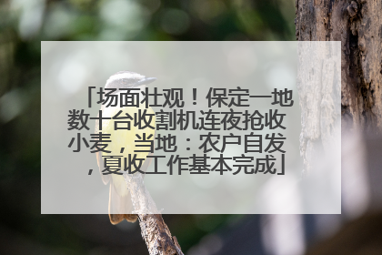 场面壮观！保定一地数十台收割机连夜抢收小麦，当地：农户自发，夏收工作基本完成