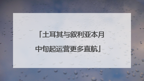 土耳其与叙利亚本月中旬起运营更多直航