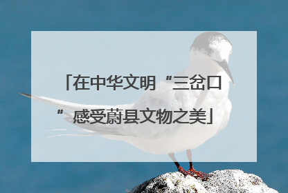 在中华文明“三岔口”感受蔚县文物之美